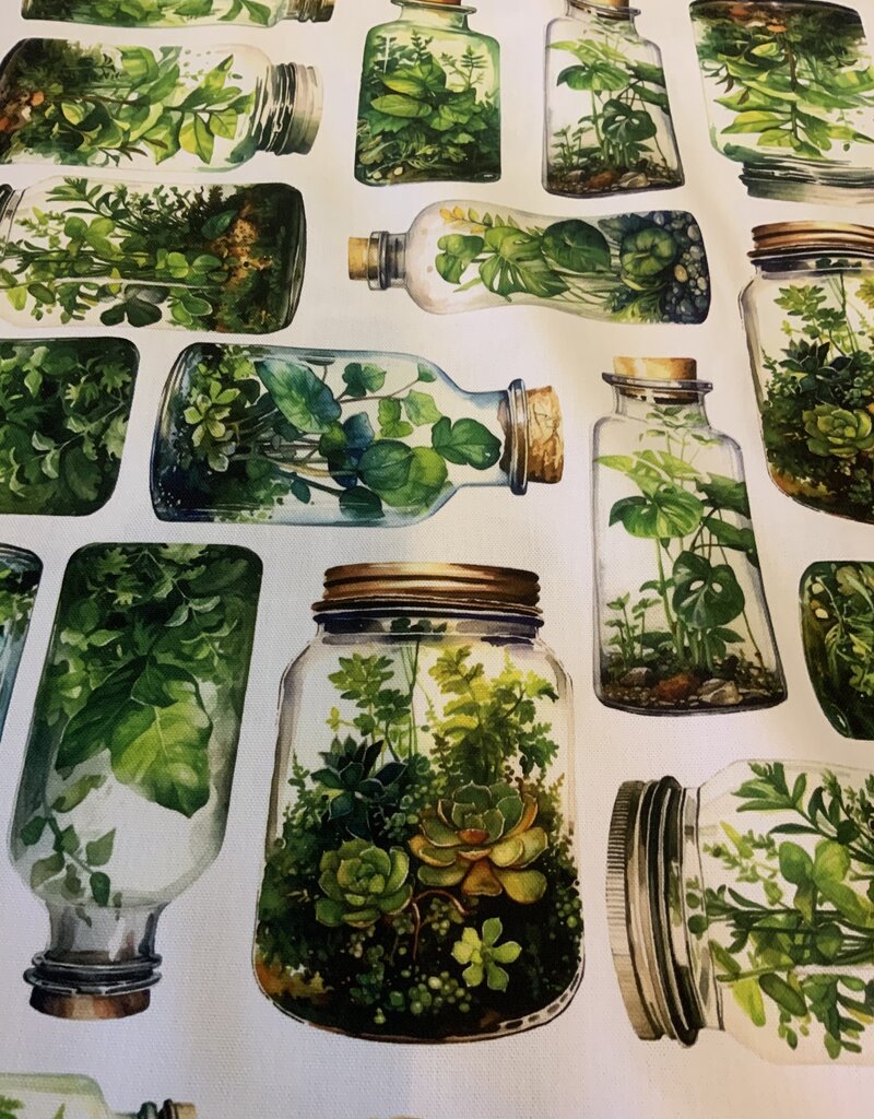 Groene kruiden in glazen potten