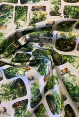 Groene kruiden in glazen potten