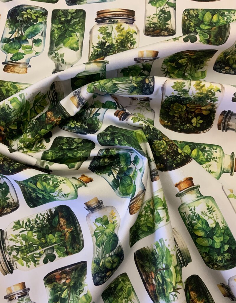 Groene kruiden in glazen potten