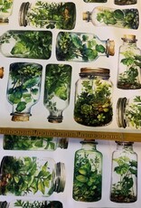 Groene kruiden in glazen potten