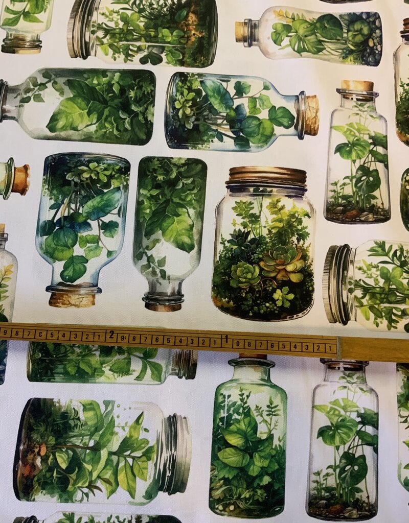 Grüne Kräuter in Gläsern