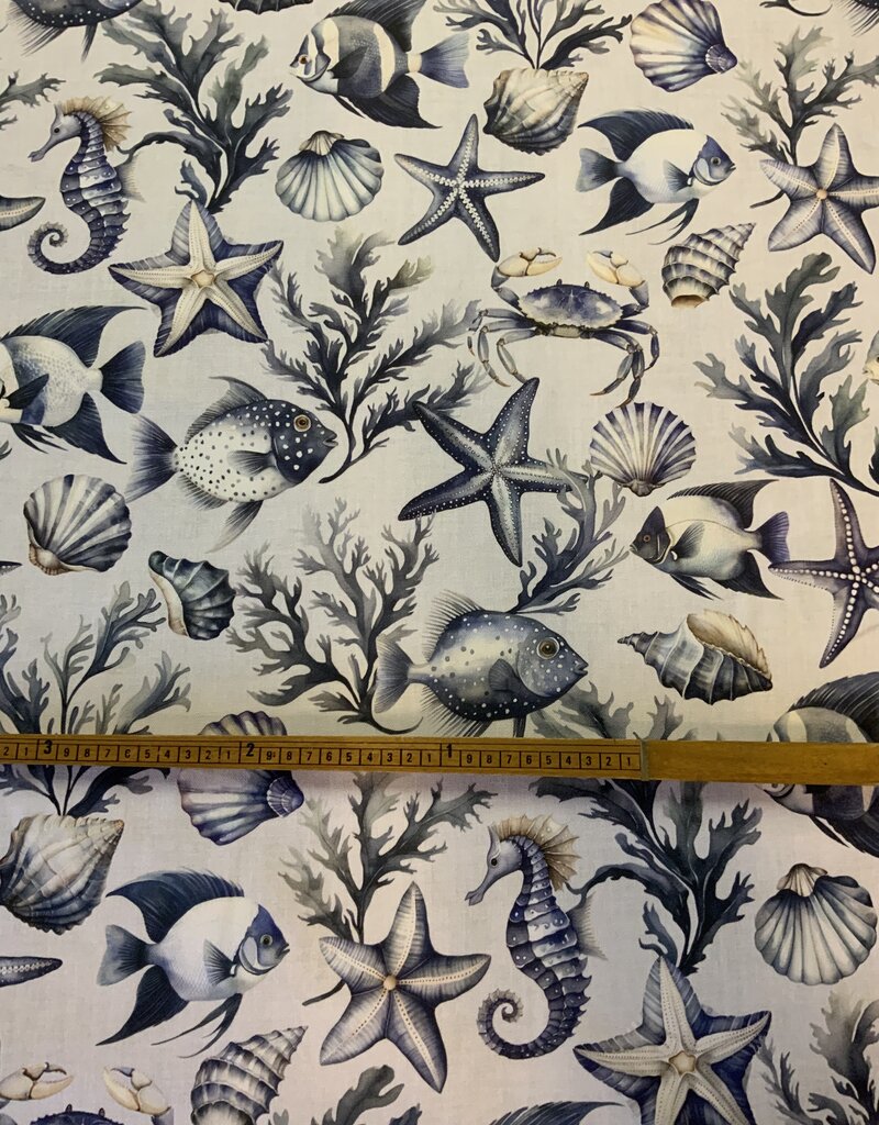 Zee leven in blauw-wit