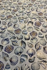 Schelpen Blau-Weiss