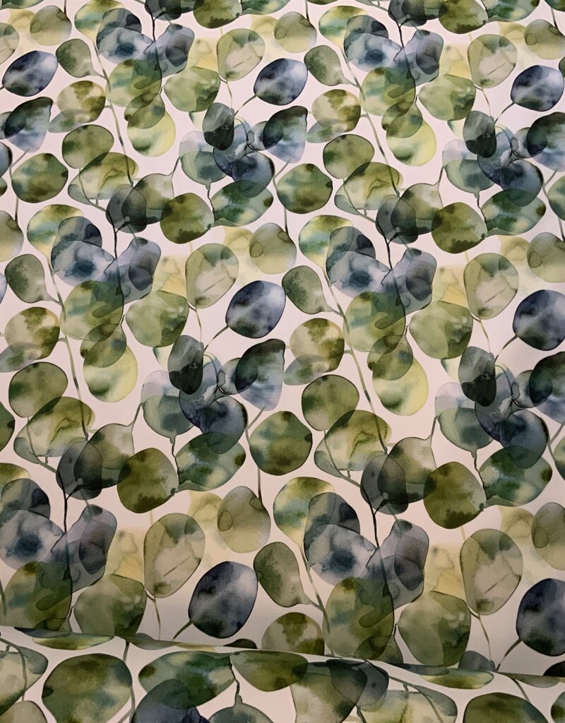 Een aquarel van Eucalyptus