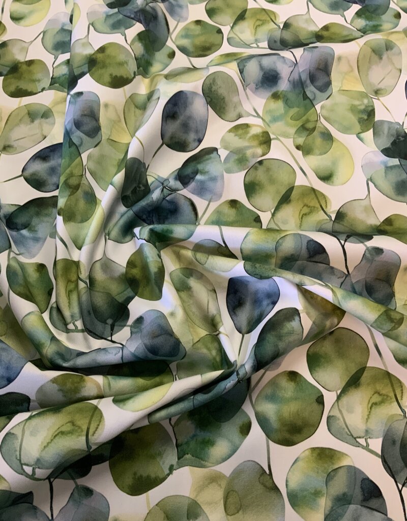 Ein Aquarell von Eukalyptus