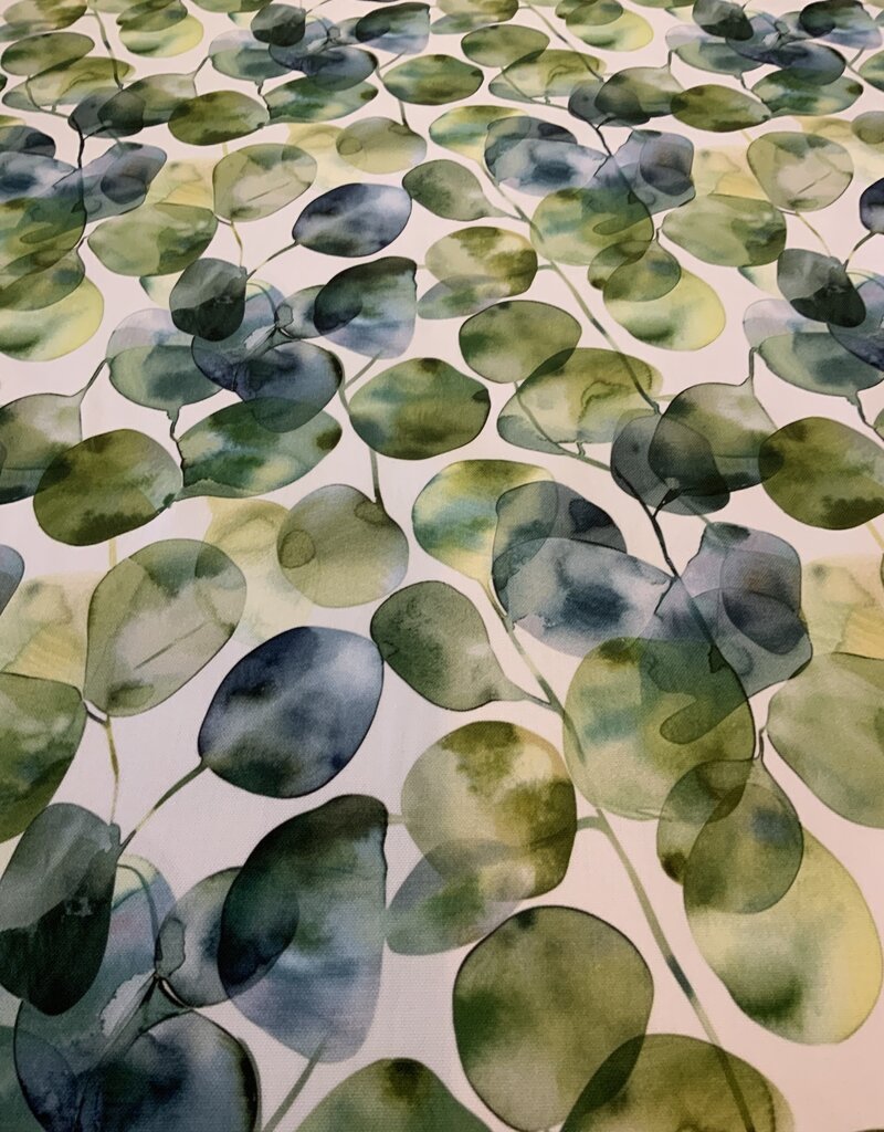 Ein Aquarell von Eukalyptus