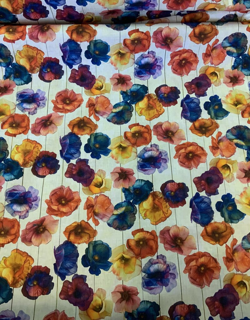 Mohnblumen in wunderschönen, leuchtenden Farben