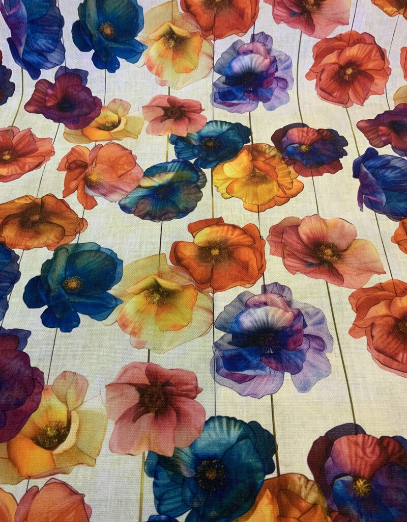 Mohnblumen in wunderschönen, leuchtenden Farben