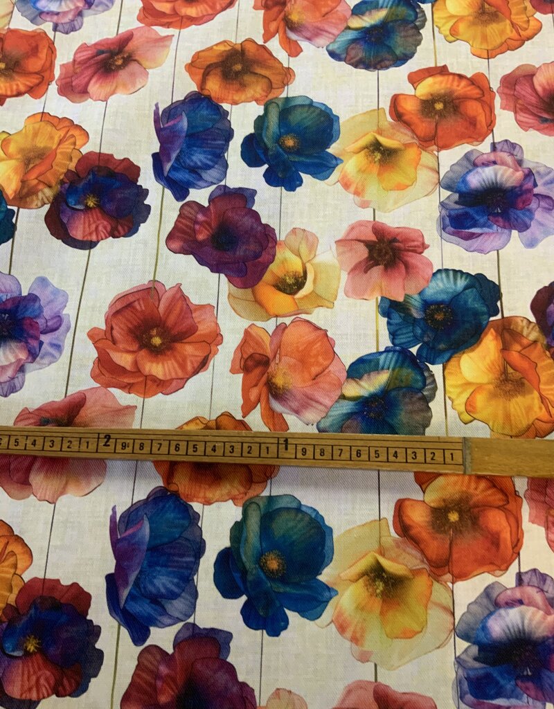 Klaprozen in mooie bonte kleuren