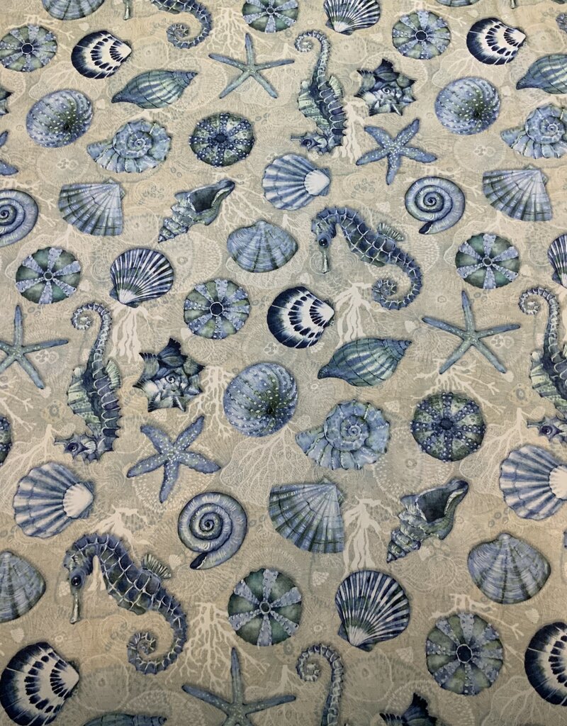 Seepferdchen und Seestern ins Blau