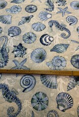 Seepferdchen und Seestern ins Blau