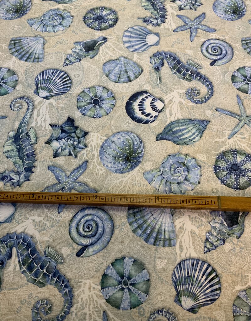 Zeepaardje en Zeesterren in het blauw