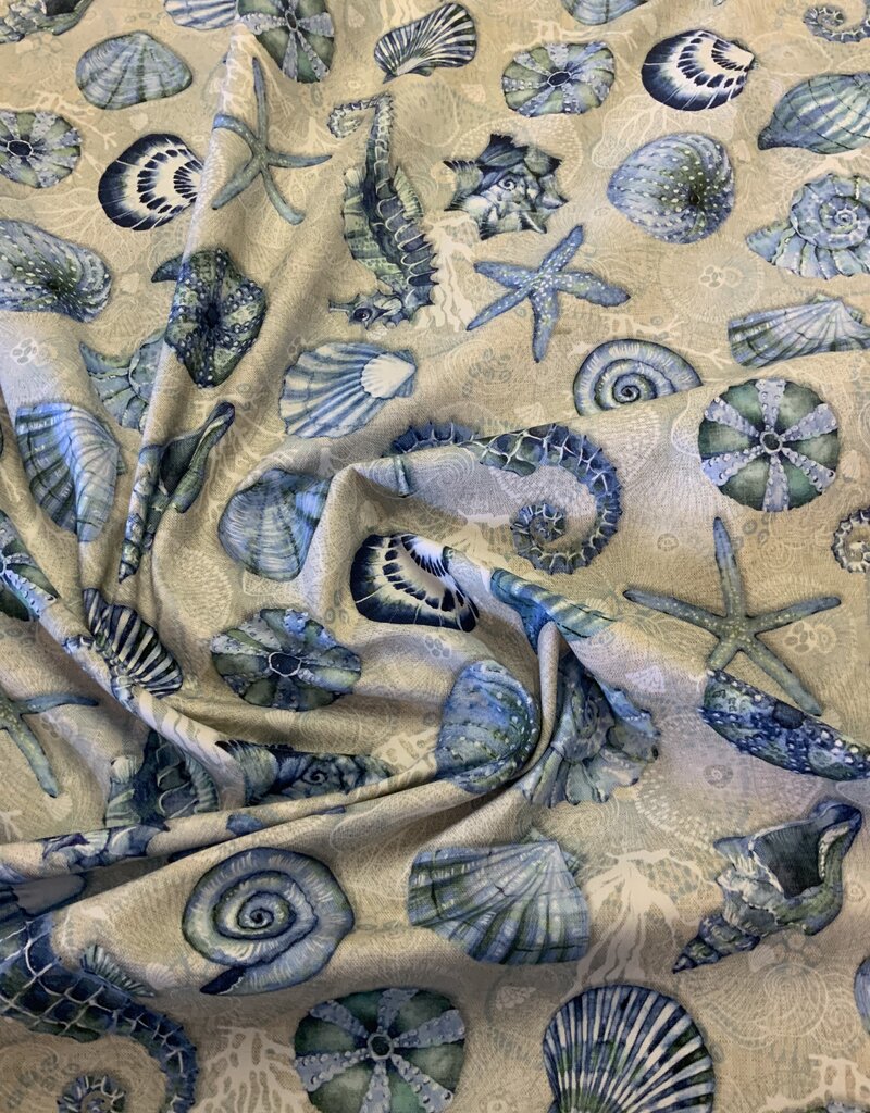 Zeepaardje en Zeesterren in het blauw