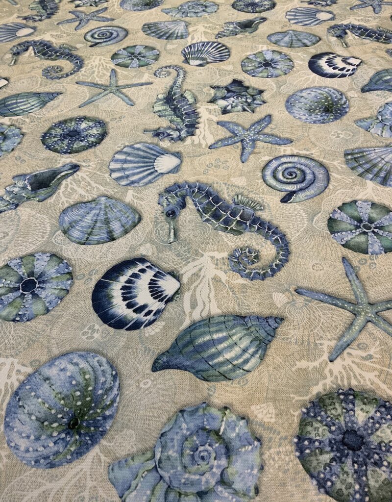 Seepferdchen und Seestern ins Blau