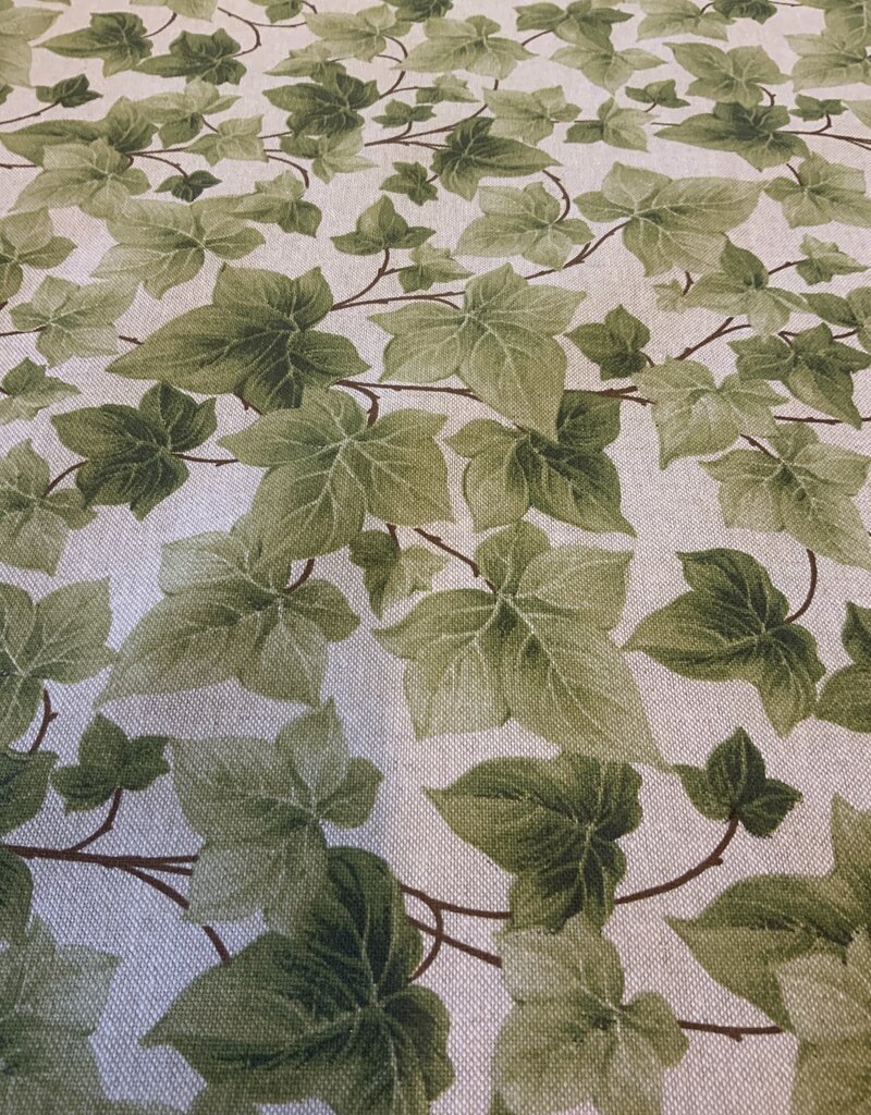 Hedera op Linnenlook ondergrond.