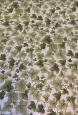 Hedera op Linnenlook ondergrond.