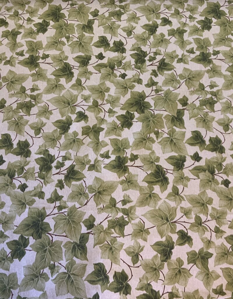 Hedera op Linnenlook ondergrond.