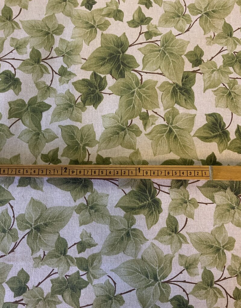 Hedera op Linnenlook ondergrond.