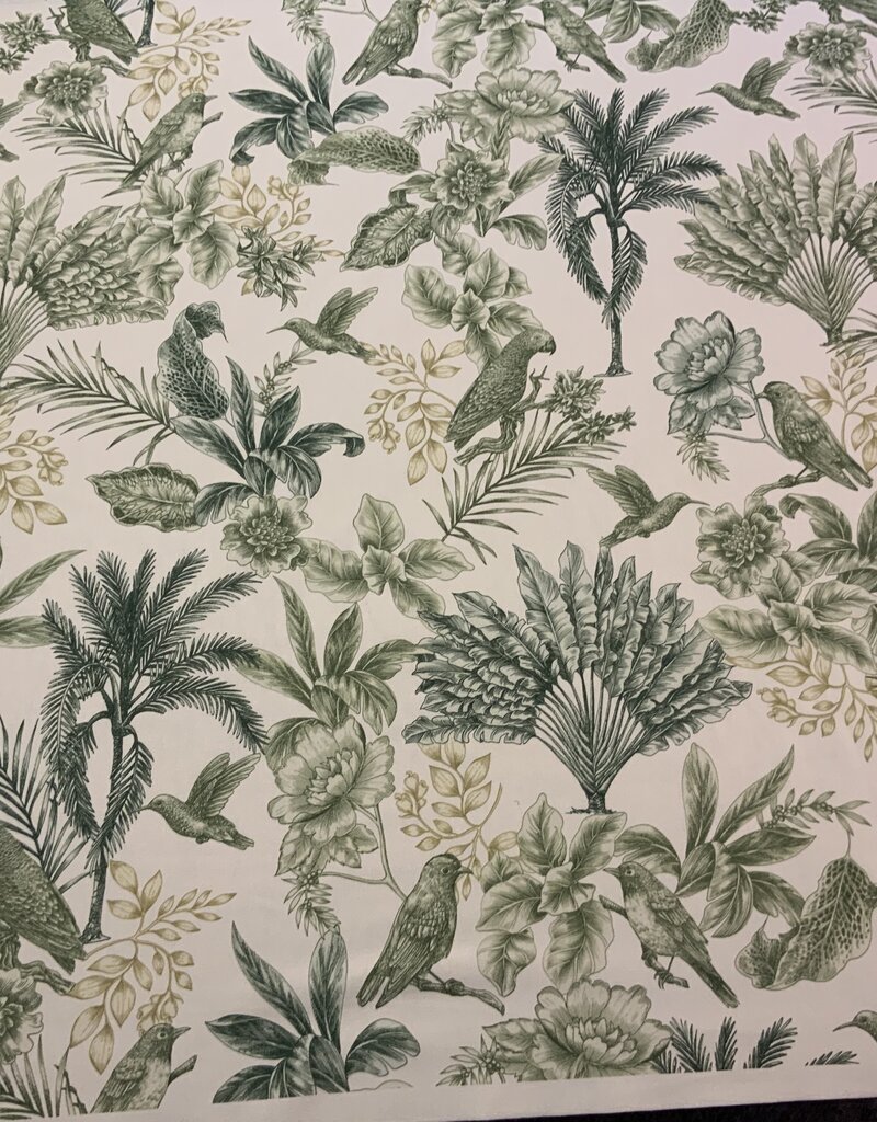 Aruba mit grünen Palmen