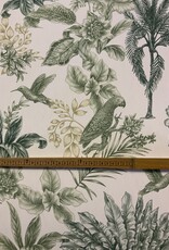 Aruba met groene palmbomen