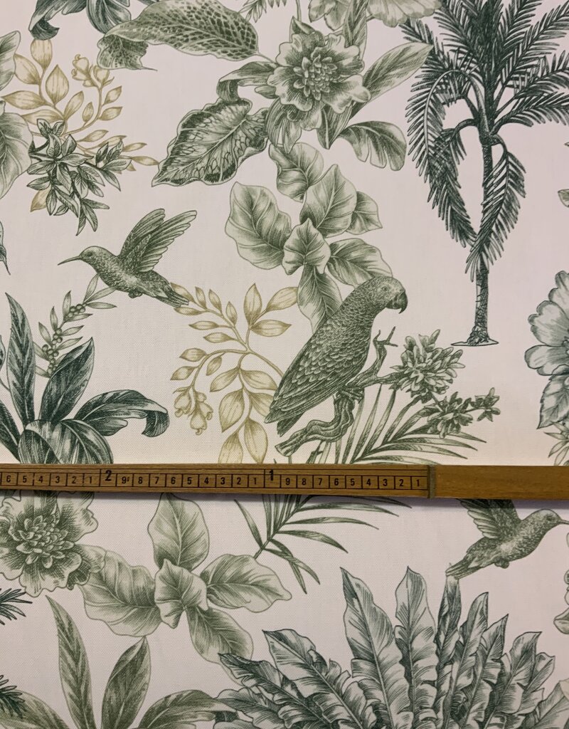 Aruba met groene palmbomen