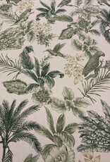 Aruba mit grünen Palmen