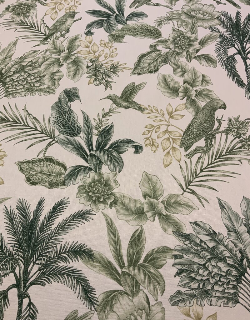 Aruba met groene palmbomen