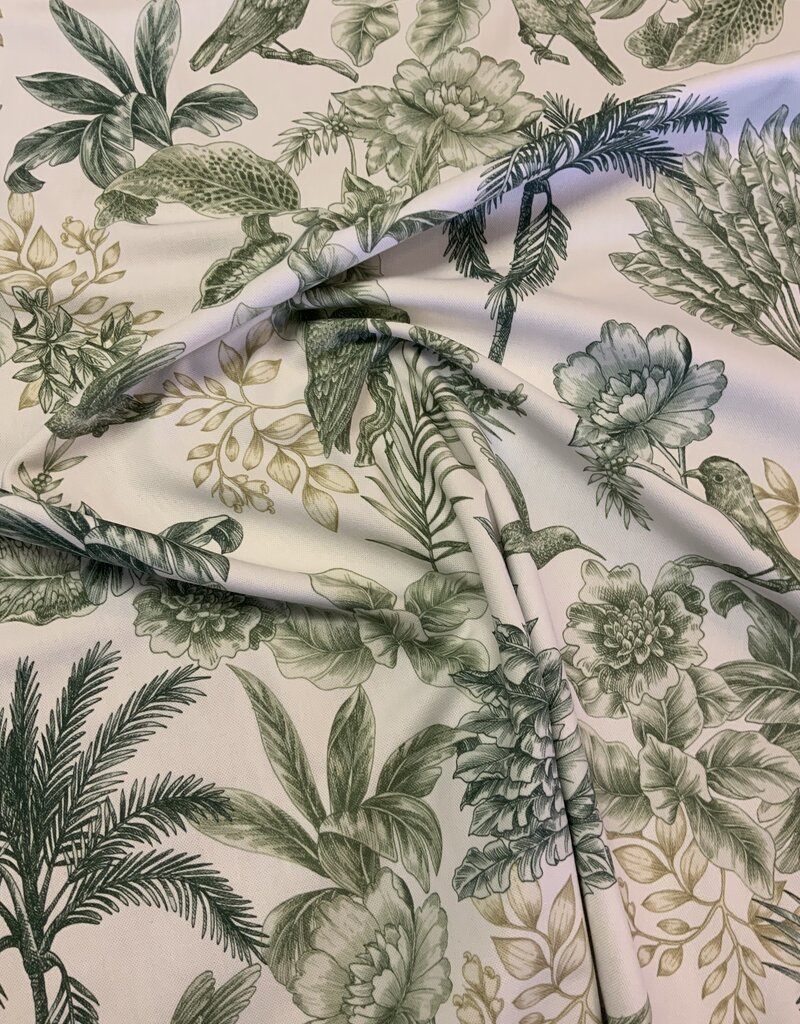 Aruba mit grünen Palmen