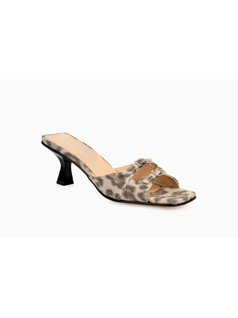 Cara Rosa GIULIA - KITTEN HEEL SANDAAL - LUIPAARDPRINT