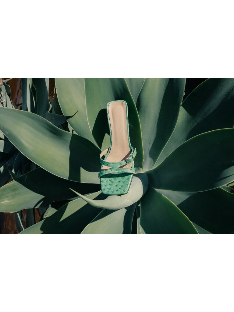 Cara Rosa Augusta - sandaal - vintage groen