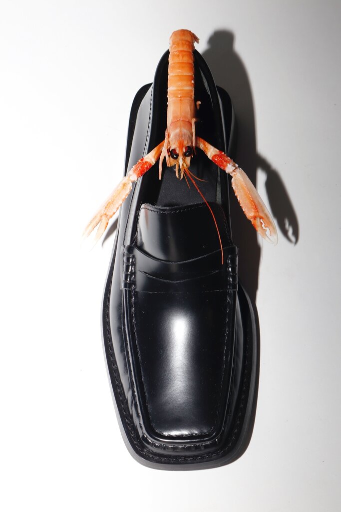 VIVY - LOAFER - BLACK SHINY LEATHER