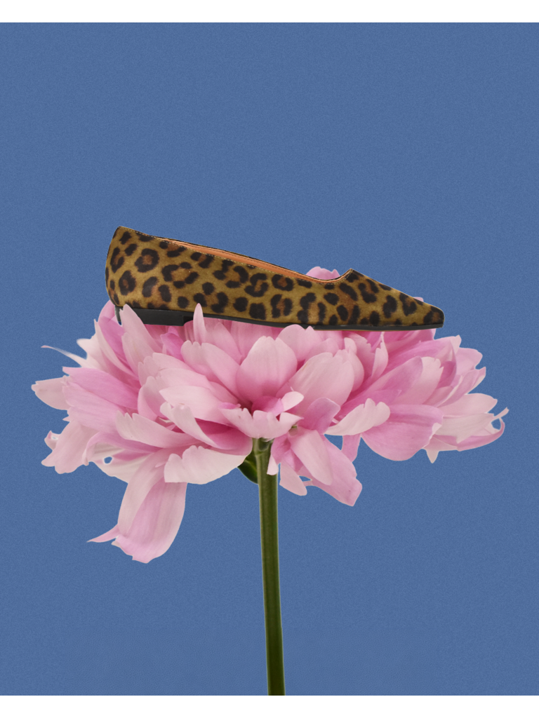 ALBA - BALLERINA - LUIPAARDPRINT