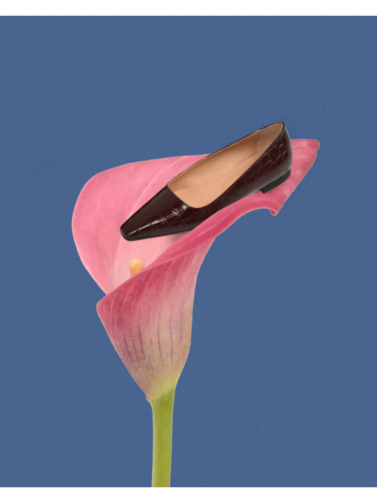 ALBA - BALLERINA - BORDEAUX CROCO