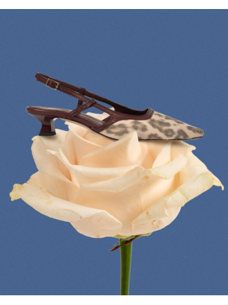 Cara Rosa KATLEEN - SLINGBACK - LEOPARD PRINT