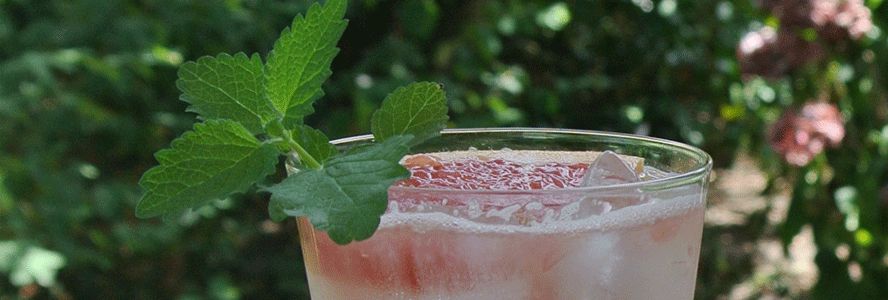 grapefruit mocktail