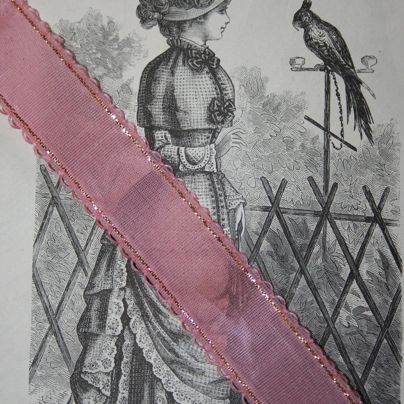 Vintage pink gauze ribbon with gold edge.