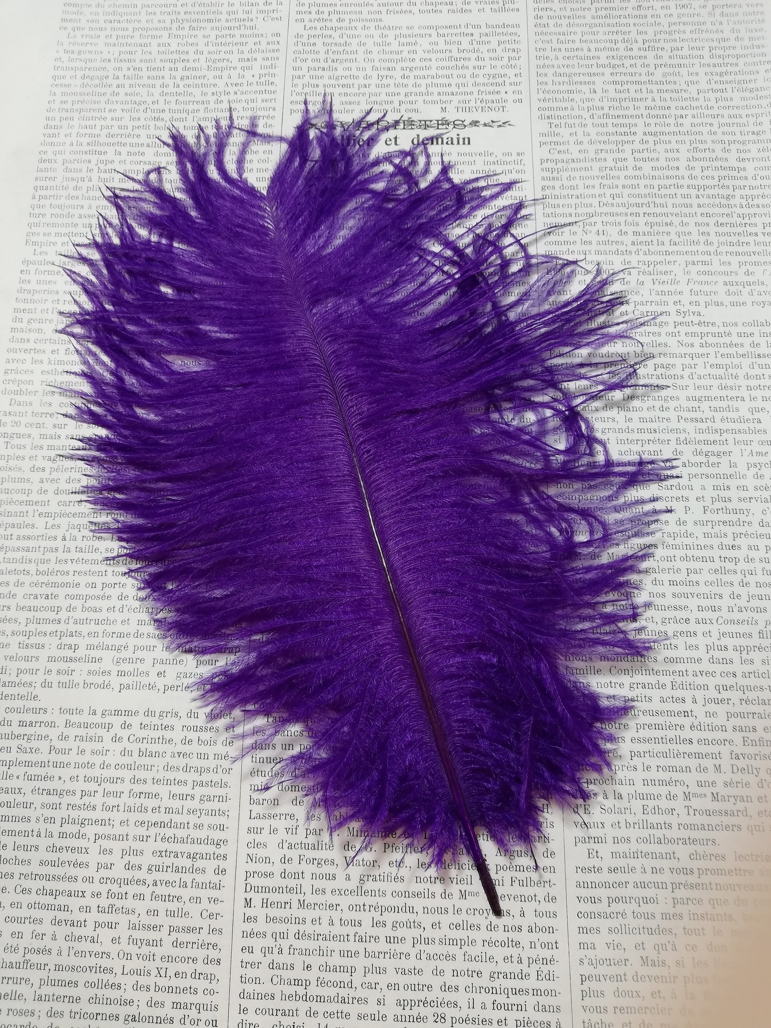 Ostrich feathers diff. colors