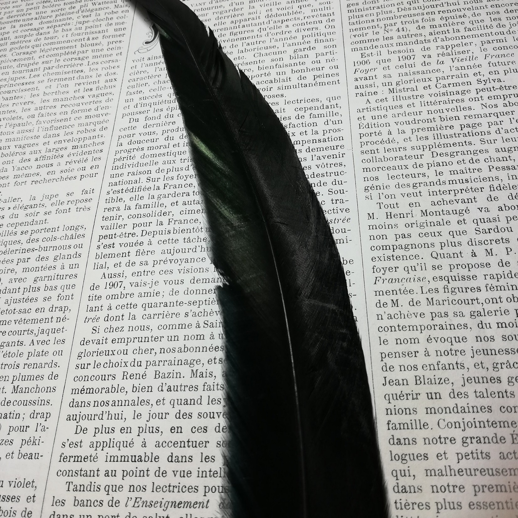 Black Rooster feathers 30-35 long.