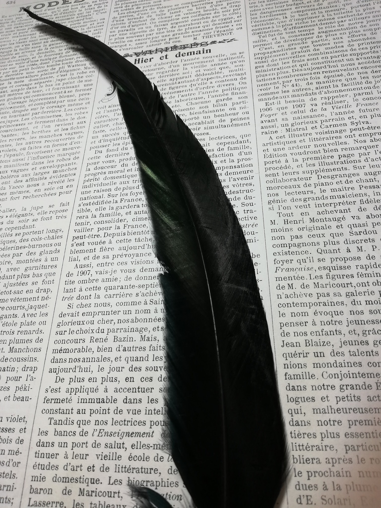 Black Rooster feathers 3035 long. La Rose Passementarie