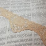 Beige Scalloped Lace