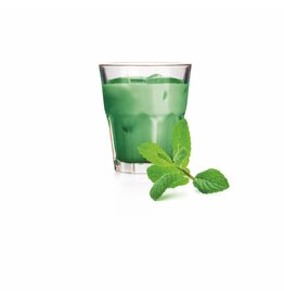 DolceVita DOLCE GUSTO - ICE LATTE E MENTA (Lait menthe) - 16 capsules