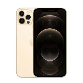 iPhone 12 Pro Max iPhone 12 Pro Max