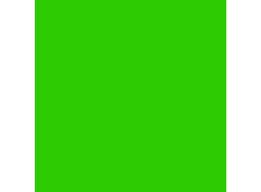 Chroma Key Green Studio Paint 3,79 L