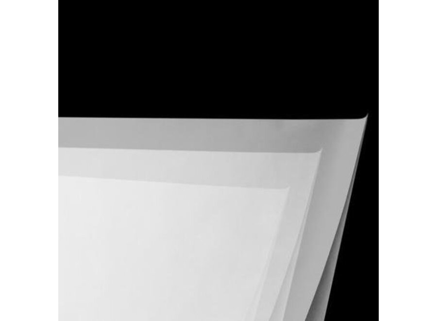 Savage Translum Backdrop 152 x 548cm 1.5 f-stop Medium weight