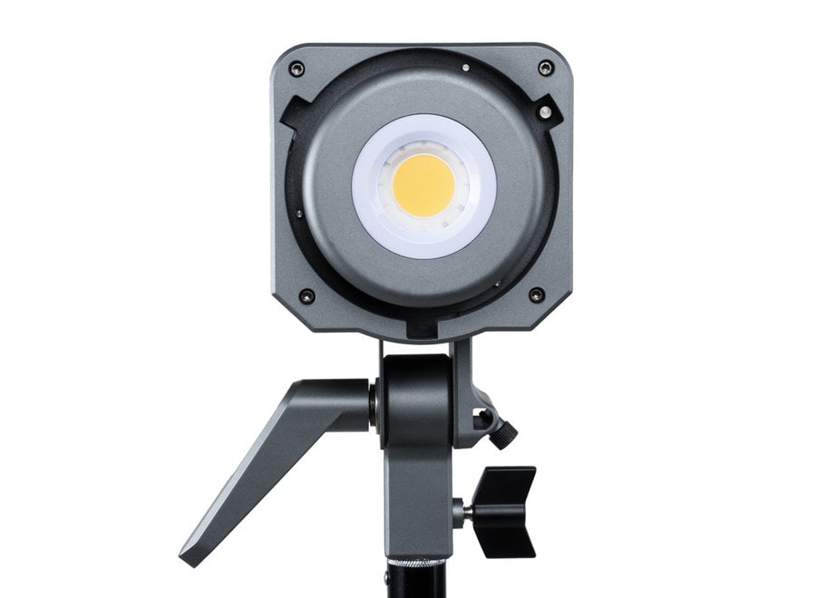 Amaran 100d Balanced Daylight LED Light