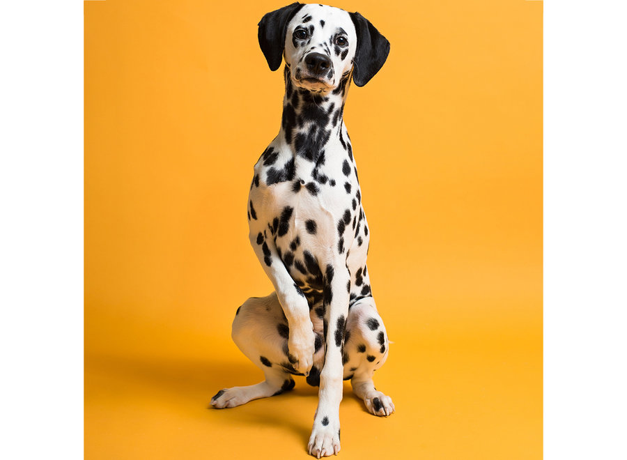 Savage Achtergrondpapier op rol 2.72 x 11m Marmalade #43