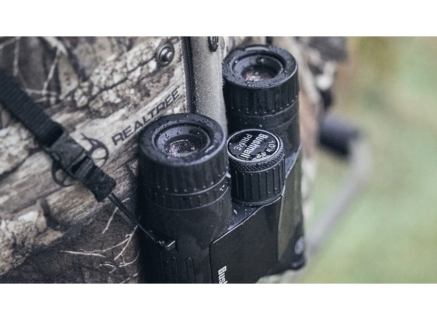 Bushnell Prime 10x42 binoculars