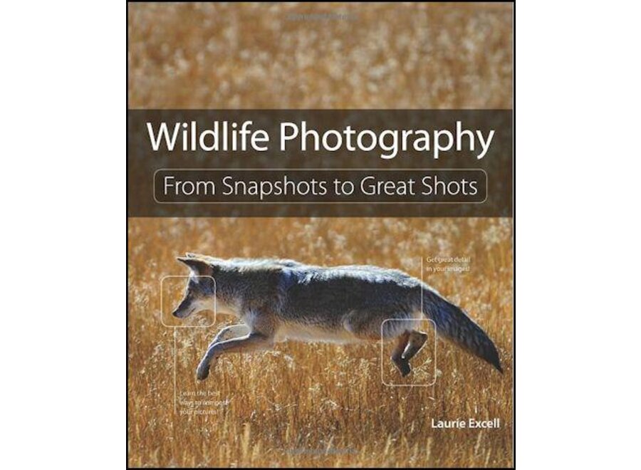 Wildlife Photography - From Snapshots to Great Shots