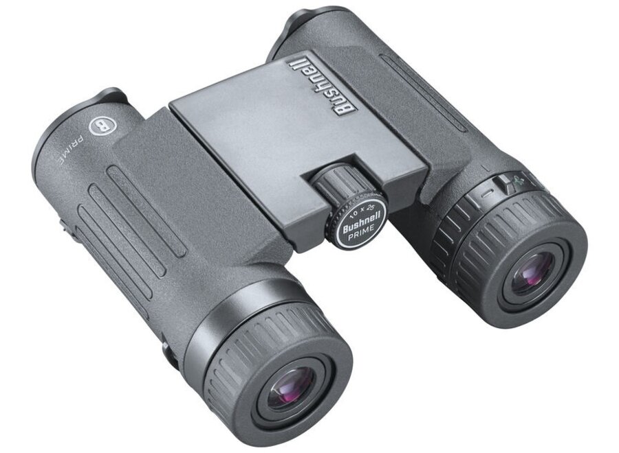 Bushnell Prime 10x42 binoculars