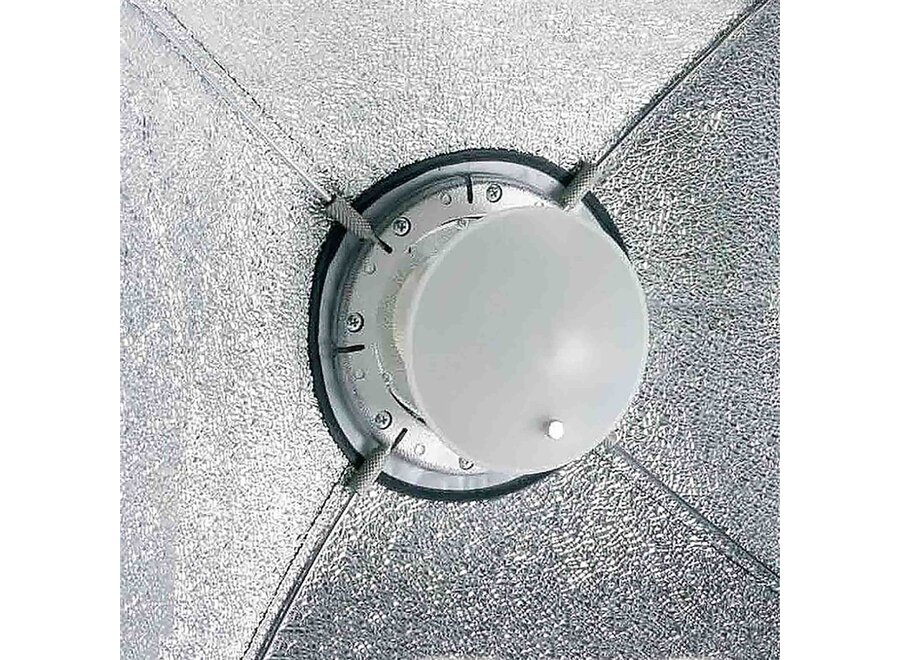 Elinchrom ELC 500 TTL Studio Portrait Kit